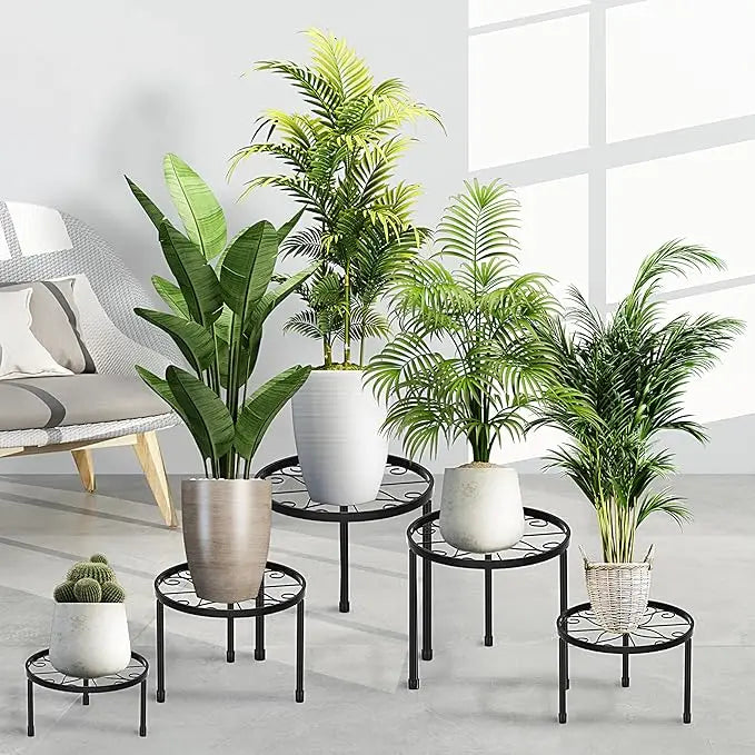 Set of potted plants on small round metal stands in a room with a sofa.