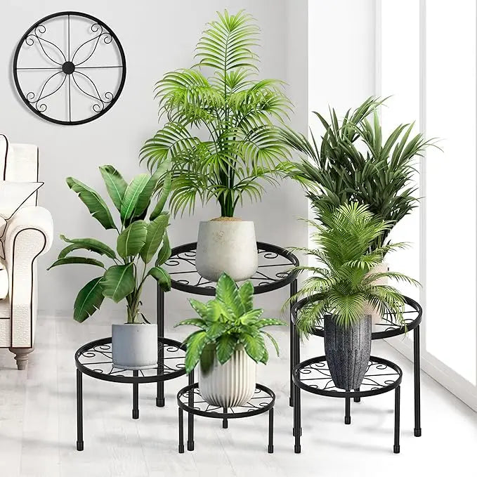 Set of potted plants on black metal plant stands against a white wall.